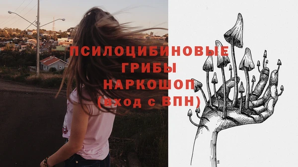 мяу мяу мука Алзамай